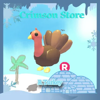 R Turkey #1