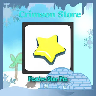 Festive Star Pin