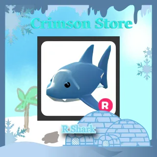 R Shark #1