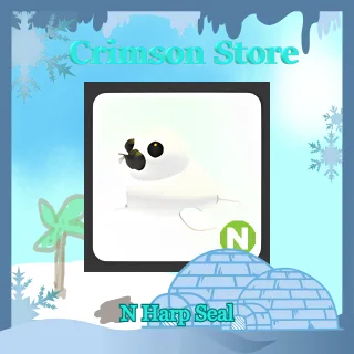 N Harp Seal #1