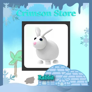 x4 Rabbit #1
