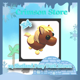 x4 Shetland Pony Dark Brown