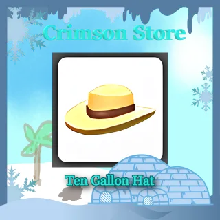 Ten Gallon Hat