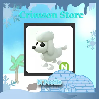 N Poodle