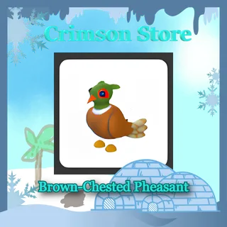Brown-Chested Pheasant #1