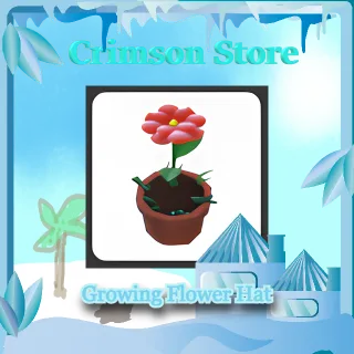 Growing Flower Hat