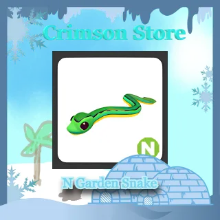 N Garden Snake