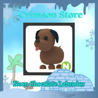 Neon Chocolate Labrador