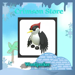 x3 Woodpecker #1
