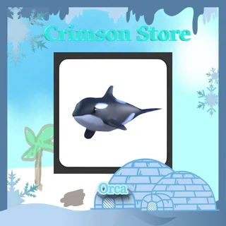 x2 Orca #1
