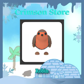 3 Robin #1