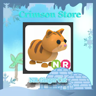 NR Ginger Cat #1