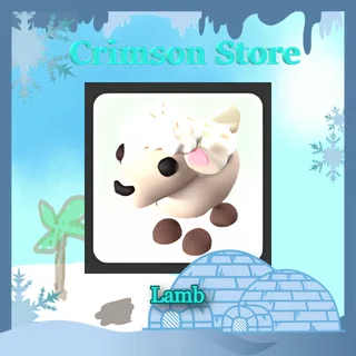 Lamb #1