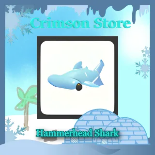x2 Hammerhead Shark