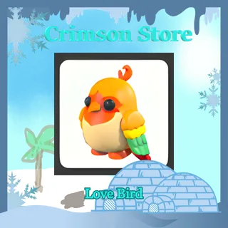 Love Bird