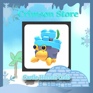 Castle Hermit Crab #1