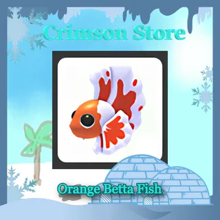 x3 Orange Betta Fish #1
