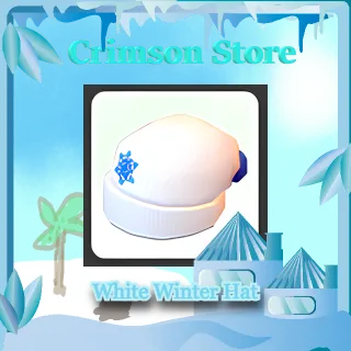 White Winter Hat