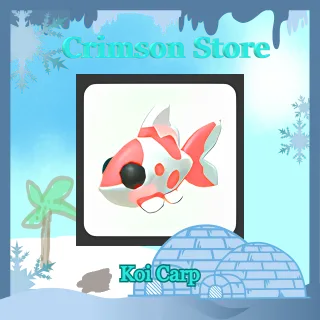 Koi Carp