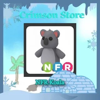 NFR Koala