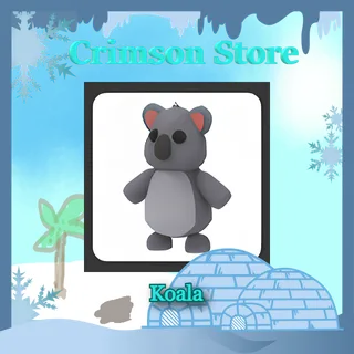 x2 R Koala #1