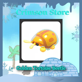 x4 Golden Tortoise Beetle