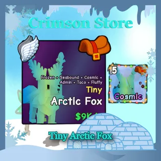 Tiny Arctic Fox