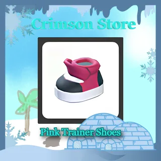 Pink Trainer Shoes