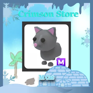 M Cat