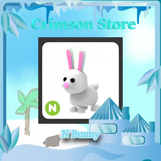 N Bunny