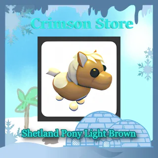 Shetland Pony Light Brown #1