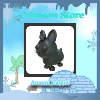 Amami Rabbit #1