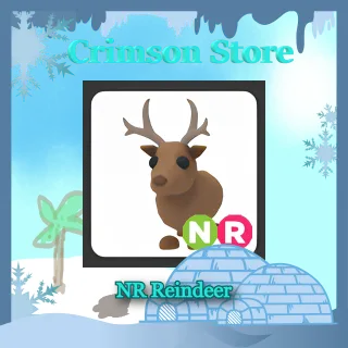 NR Reindeer #1