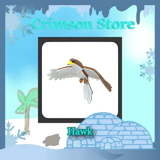 Hawk #1
