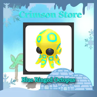 Blue Ringed Octopus #1