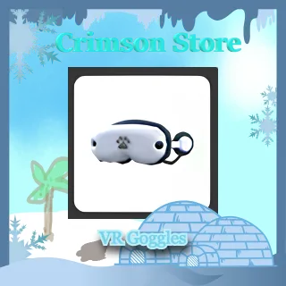 VR Goggles