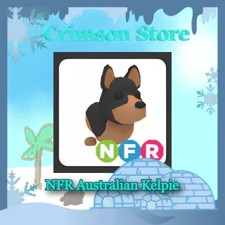 NFR Australian Kelpie