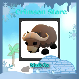 Musk Ox