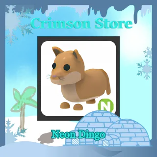 N Dingo