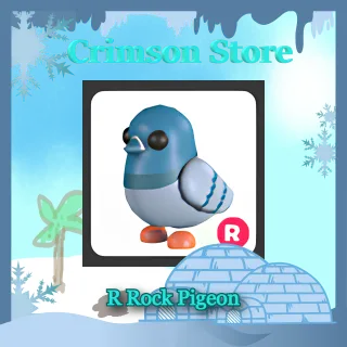 R Rock Pigeon