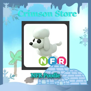 NFR Poodle