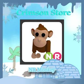 NR Monkey