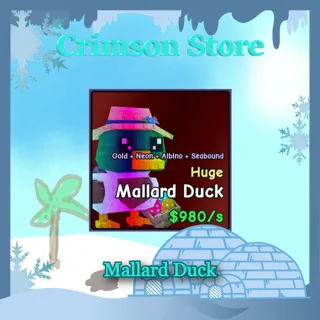 Neon Albino Gold Mallard Duck