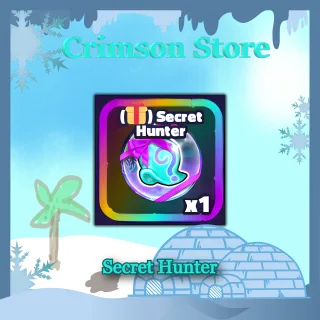 Secret Hunter