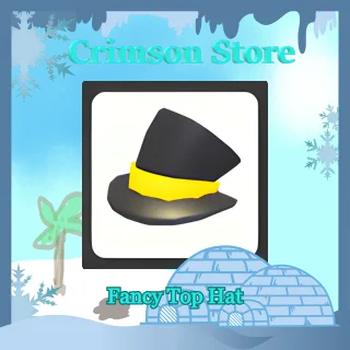 Fancy Top Hat
