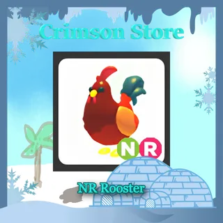 NR Rooster #1