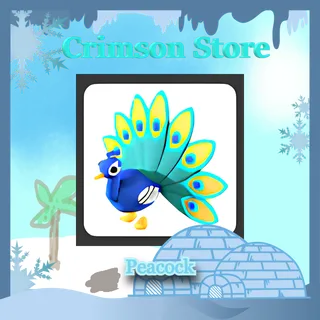 Peacock