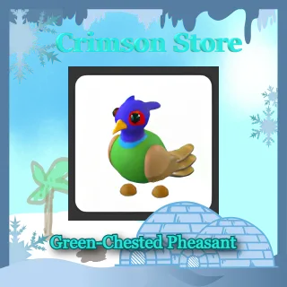 Green-Chested Pheasant #1