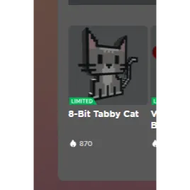 Tabby cat