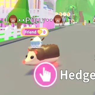 Mfr Hedgehog